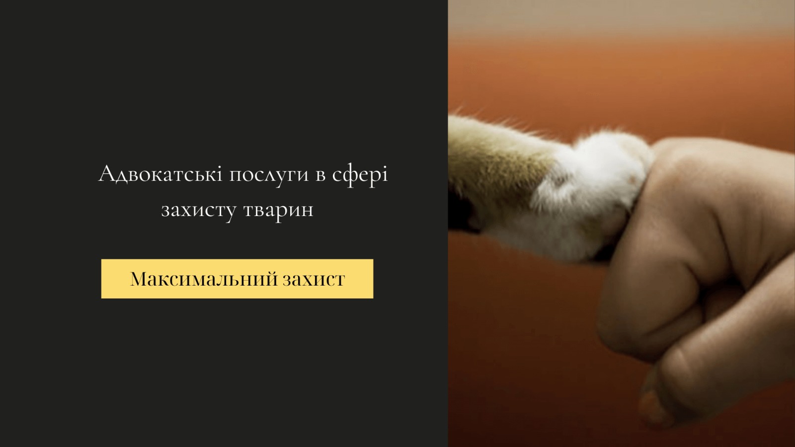 Юридичні послуги в сфері захисту тварин