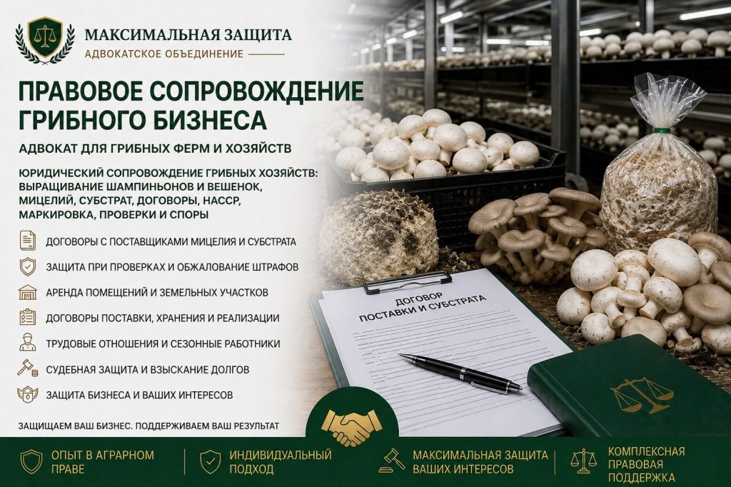 Правовое сопровождение грибного бизнеса – адвокат для грибных ферм